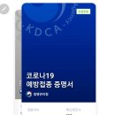 조희준내과의원 | 얀센 사전예약 접종, 아스트라제네카 잔여백신 접종 1일차~3일차 부작용 후기