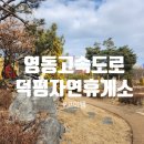 이데스덕평(인천방향)충전소 | 영동고속도로 휴게소 추천 덕평 자연 휴게소