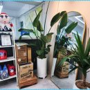 척척부동산공인중개사사무소 이미지