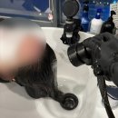 대덕프라자안쪽 | 성남 두피관리 찐 추천 후기 - 더마힐 엠지에프 두피탈모 전문센터 분당 야탑점