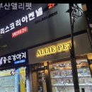 부산강아지분양 앨리펫 | 부산강아지분양 부산앨리펫 경제적이고 합리적인 분양업체