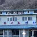 천동송어양식장횟집 | 단양 송어 맛집 천동송어양식장횟집