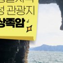 공룡의숨결 이미지