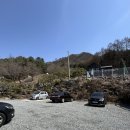 홍천 애견동반_강아지운동장이 있는 왕돈까스 맛집 :: 홍시