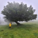 조마루로85번길 이미지