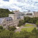 고려대학교 노동대학원 이미지