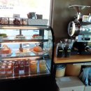 로뎀트리 이미지