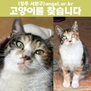 창성유치원 이미지