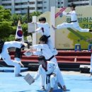 대한민국 태극시범단 이미지