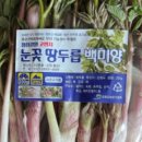 땅등농장 티스토리