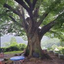 보탑사 주차장 이미지