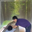 힐링안마 이미지