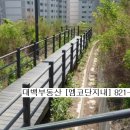 상도근린공원 진입로 이미지