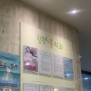 윤치과의원 | 부천 힐링윤치과,매복 사랑니 발치(신경 가까움을 곁드린)