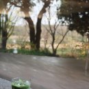 이랑바이오 | 제주 오설록 티뮤지엄 12월 방문 후기 | 주차 넉넉하고 아이스크림은 맛있었어요