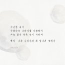 나와나타샤와흰당나귀