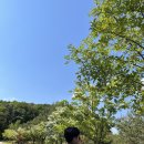 파크골프장 화장실(가곡동) | 아이와함께 홍천 소노펠리체 빌리지 비발디 파크,골드 그랜드 스위트 K동(취사, 파크뷰, 침대)