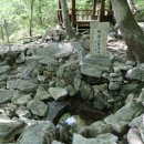 백운면 벚꽃길 이미지