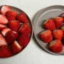 성훈농장2 이미지