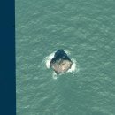 대동모텔 | 진도에서 맹골도까지 선상유람기