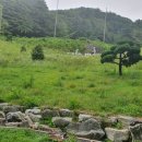 유수정행정사사무소 이미지