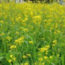 꿀벌부동산공인중개사사무소 이미지