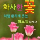 화요일 이미지