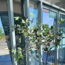 부안고려청자(목포) 이미지