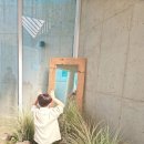 별서담 이미지