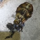 영등 발전소 이미지