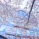 아이피 파빌리온 이미지