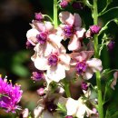 그룸그룸 이미지