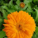 진오농장 이미지