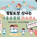 신항리즈음악학원 이미지