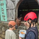 승마장 | 🐎 제주 밭디 승마장 후기 (아이랑 제주 체험 추천)
