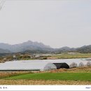 전라도맛집/강진맛집/병영 설성식당 - 무조건 한상에 2만냥짜리 백반.. 이미지