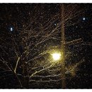 신정로5길 이미지