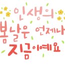 방울방울다육세상