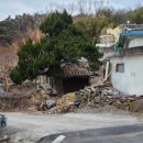 상신2리 | 세상을 등지고 살아도 - 영천 돈죽정(遯竹亭)1899년