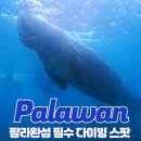 팔라완 코론섬 다이빙 여행 가는방법 특징 필수 스팟 BIG 5 정보 추천 관광지 여행팁