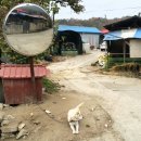 덕정리 경로당 이미지