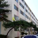 광산구-137 Daum카페
