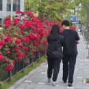 우치로 40번길 이미지