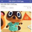 콩돌이