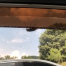 이가목장 이미지