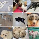 원주브리딩 이미지