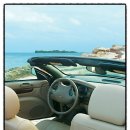 삼육오 (365) 이미지