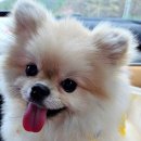 루트 231 이미지