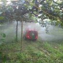 자연애농장 이미지