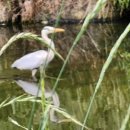 박외과의원 이미지